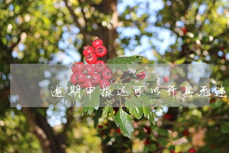 逾期申报还可以开具无违规证明吗