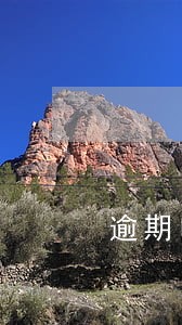 逾期申报还可以认证发票不 逾期申报还可以认证发票不