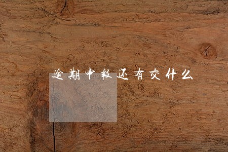 逾期申报还有交什么 逾期申报还有交什么