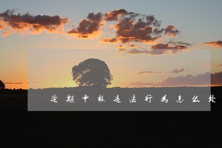 逾期申报违法行为怎么处理 逾期申报违法行为怎么处理