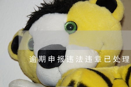 逾期申报违法违章已处理完毕 逾期申报违法违章已处理完毕