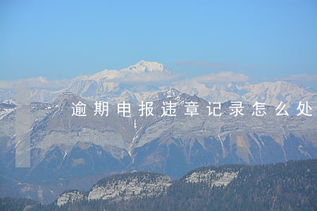 逾期申报违章记录怎么处理 逾期申报违章记录怎么处理