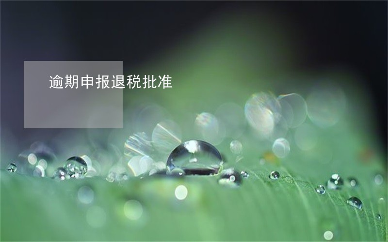 逾期申报退税批准 逾期申报退税批准