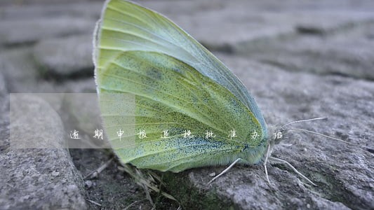 逾期申报退税批准办结 逾期申报退税批准办结