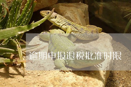 逾期申报退税批准时限 逾期申报退税批准时限