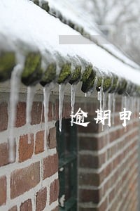 逾期申报适用什么条款