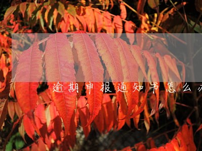 逾期申报通知书怎么办
