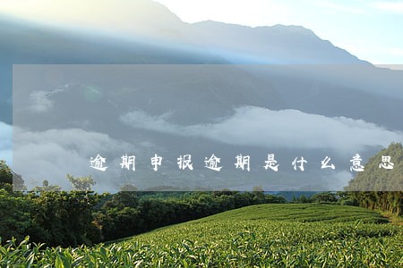 逾期申报逾期是什么意思