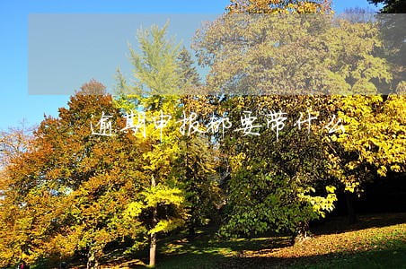 逾期申报都要带什么 逾期申报都要带什么