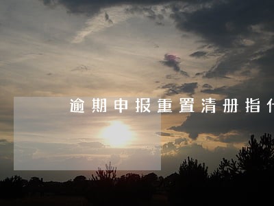 逾期申报重置清册指什么 逾期申报重置清册指什么