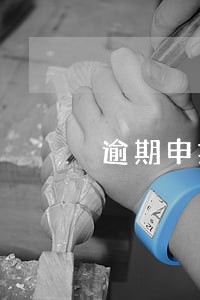 逾期申报金税盘资料 逾期申报金税盘资料