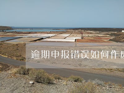 逾期申报错误如何作废 逾期申报错误如何作废