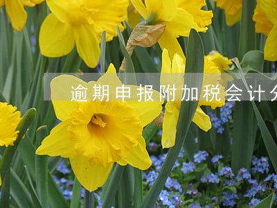 逾期申报附加税会计分录 逾期申报附加税会计分录