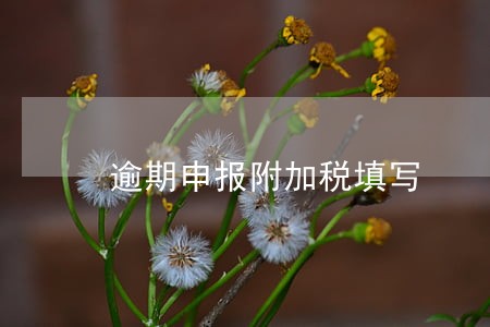 逾期申报附加税填写