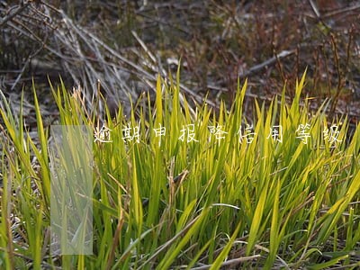 逾期申报降信用等级 逾期申报降信用等级