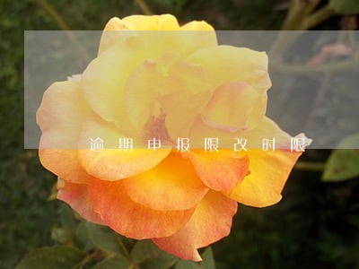逾期申报限改时限 逾期申报限改时限