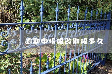 逾期申报限改期限多久 逾期申报限改期限多久