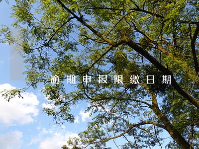 逾期申报限缴日期