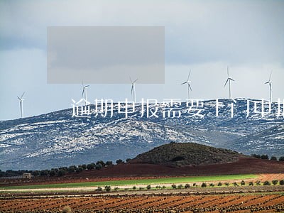 逾期申报需要上门申报嘛 逾期申报需要上门申报嘛