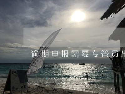 逾期申报需要专管员出什么