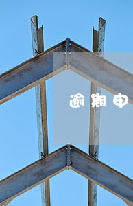 逾期申报需要什么