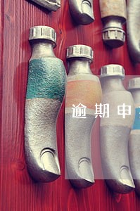 逾期申报需要准备什么材料 逾期申报需要准备什么材料