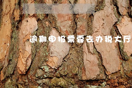 逾期申报需要去办税大厅处理 逾期申报需要去办税大厅处理