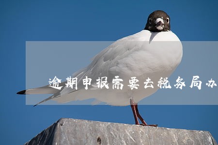 逾期申报需要去税务局办理吗 逾期申报需要去税务局办理吗