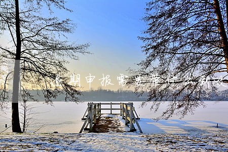 逾期申报需要带什么到政务大厅 逾期申报需要带什么到政务大厅