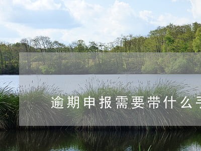 逾期申报需要带什么手续