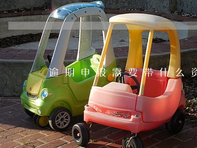 逾期申报需要带什么资料 逾期申报需要带什么资料