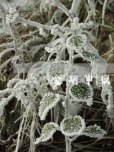 逾期申报需要情况说明怎么写 逾期申报需要情况说明怎么写