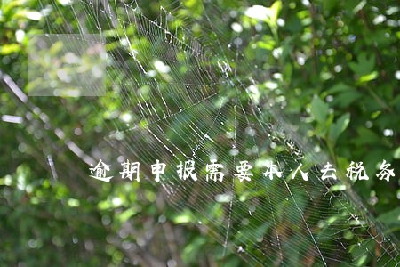 逾期申报需要本人去税务局吗 逾期申报需要本人去税务局吗