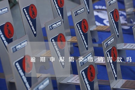 逾期申报需要缴纳罚款吗 逾期申报需要缴纳罚款吗
