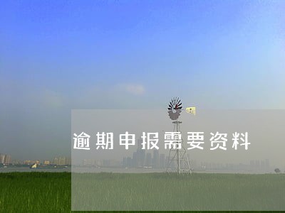 逾期申报需要资料 逾期申报需要资料