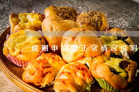 逾期申报非正常情况说明书 逾期申报非正常情况说明书