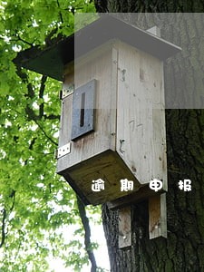 逾期申报首次违法数据异常