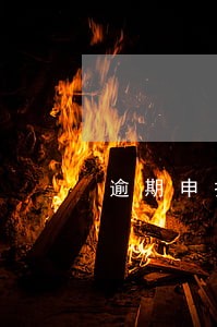逾期申报首违不罚怎么申请 逾期申报首违不罚怎么申请
