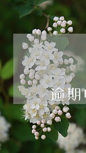 逾期申诉怎么取消 逾期申诉怎么取消