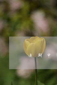 逾期申诉流程图 逾期申诉流程图