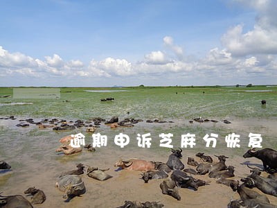 逾期申诉芝麻分恢复 逾期申诉芝麻分恢复