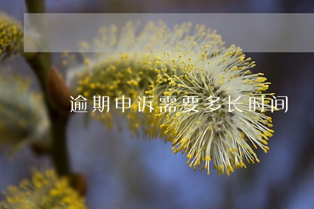逾期申诉需要多长时间 逾期申诉需要多长时间