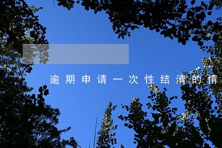 逾期申请一次性结清的情况说明 逾期申请一次性结清的情况说明