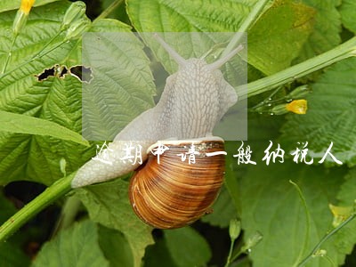 逾期申请一般纳税人 逾期申请一般纳税人