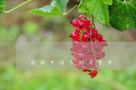 逾期申请不到消费券 逾期申请不到消费券