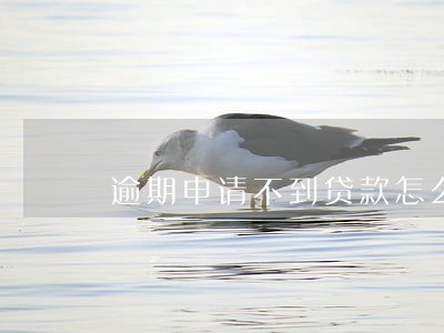 逾期申请不到贷款怎么办 逾期申请不到贷款怎么办