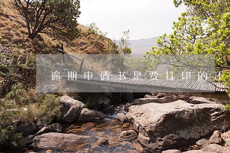 逾期申请书是要打印的还是手写的