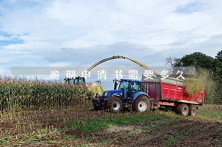 逾期申请书需要多久
