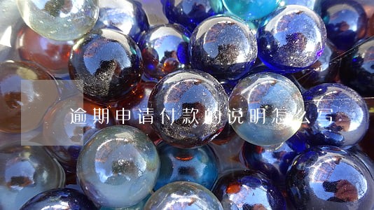 逾期申请付款的说明怎么写 逾期申请付款的说明怎么写