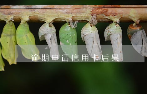 逾期申请信用卡后果 逾期申请信用卡后果